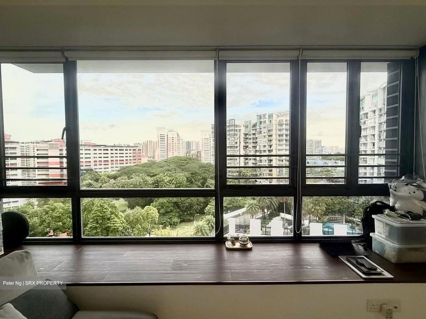 8@Woodleigh (D13), Condominium #619419091